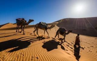 Why going on a Moroccan Desert Tour should be on your bucket list
