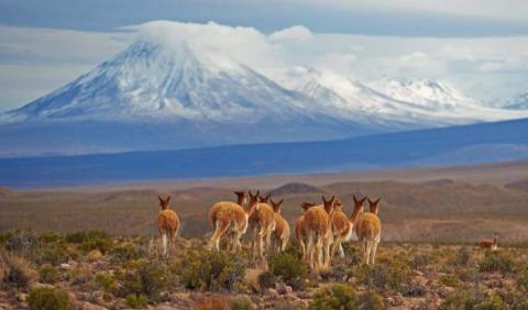 Chile's best national parks