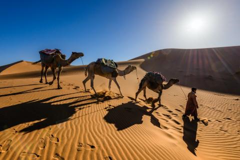 Why going on a Moroccan Desert Tour should be on your bucket list